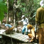 A bridge across the stream at the entry point to the new kuti track.