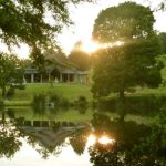 The back of the main sala at Bodhivana. An early morning view across the pond from Ajahns Kuti.