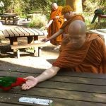 Feeding King Parrots and Roselas at a sanctuary not far from Bodhivana.