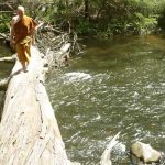 Ajahn Kusalo crossing to the other shore.