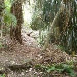 The start of the hermitage track just below the existing Vivek kuti.