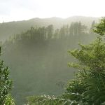 The early morning sun rising over the hills to shine on the hermitage kuti.