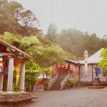 A misty shroud envelopes the festive Vesak decorations in the monastery courtyard.