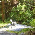 The morning sun bathes a quiet resting place.