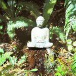 The verdant greens of summer surround the Buddha.