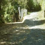 The track just below the upper house is now a gentle rise and downward slope.
