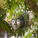The Buddha as an element in nature; that which knows knows the nature of (human) nature.