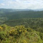 A view from the road at the very top of the monastery property.<br />Thats Stokes Valley in the background left.