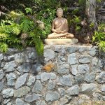 Buddha Rupa