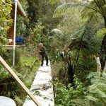 Ian about to launch a branch into the undergrowth as part of the tidy up around his kuti.